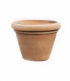 VASO LISCIO